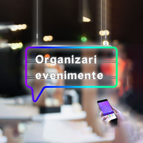 Decoratiuni luminoase LED organizari evenimente